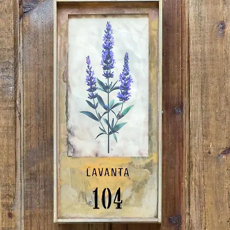 Hotel Kervansaray Museum *